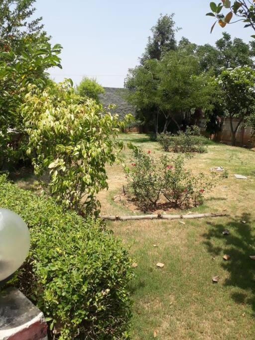 Willa Achal Farm जंगल में मंगल Gurgaon Zewnętrze zdjęcie