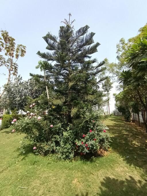 Willa Achal Farm जंगल में मंगल Gurgaon Zewnętrze zdjęcie