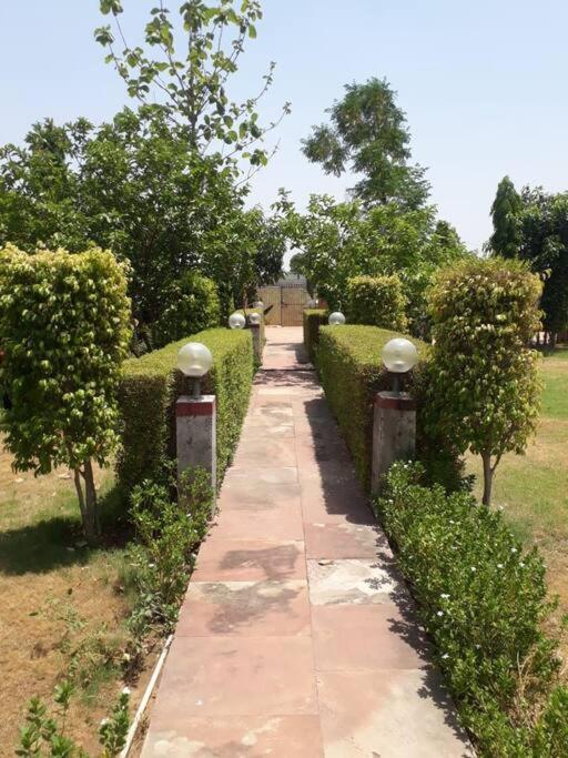 Willa Achal Farm जंगल में मंगल Gurgaon Zewnętrze zdjęcie