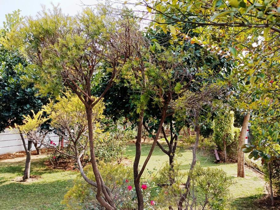 Willa Achal Farm जंगल में मंगल Gurgaon Zewnętrze zdjęcie